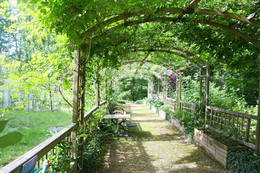 Soorten pergola's om je tuin te verfraaien