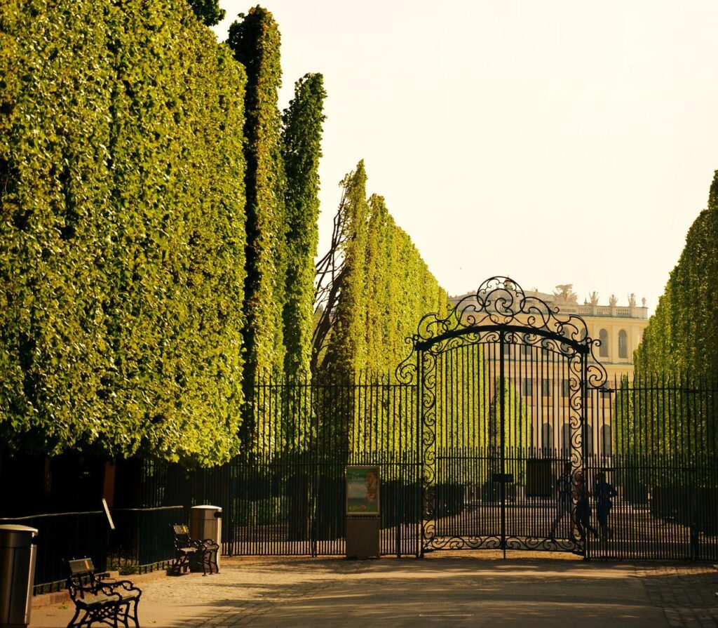 Hekwerken en poorten met groene haag