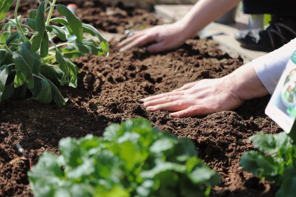 Onderzoek welk type grond u beschikbaar heeft in je tuin