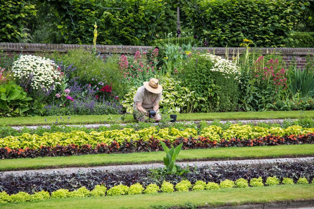 een eigen tuin ontwerpen