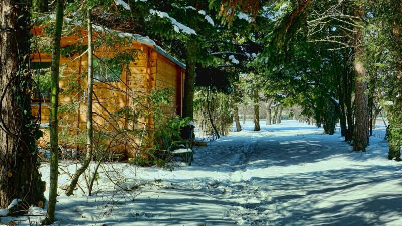 In enkele stappen een tuinhuis bouwen: zo doe je dat!