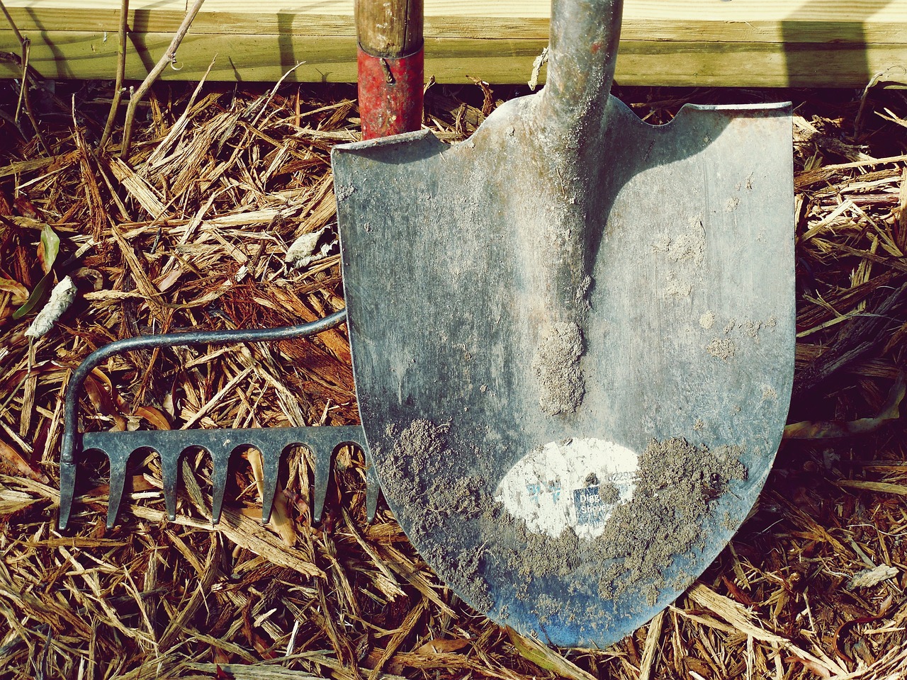 Waardevolle tips voor het volledig herinrichten van de tuin