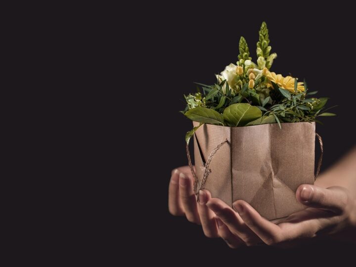 Zo kies je de perfecte plant als housewarming cadeau